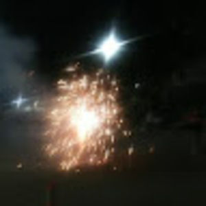 Meet your Posher, Zanyra